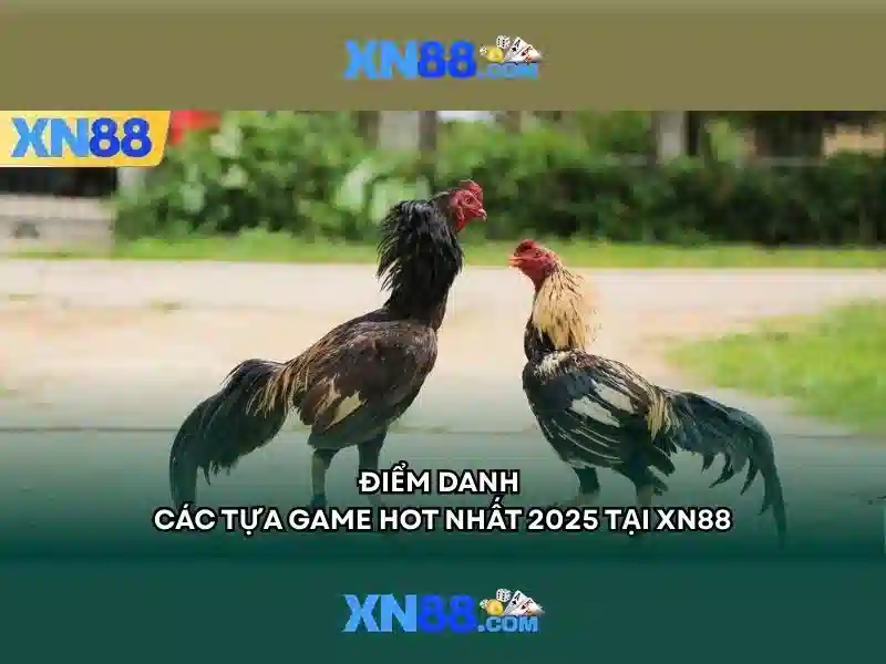 Lịch sử và nguồn gốc của XN88