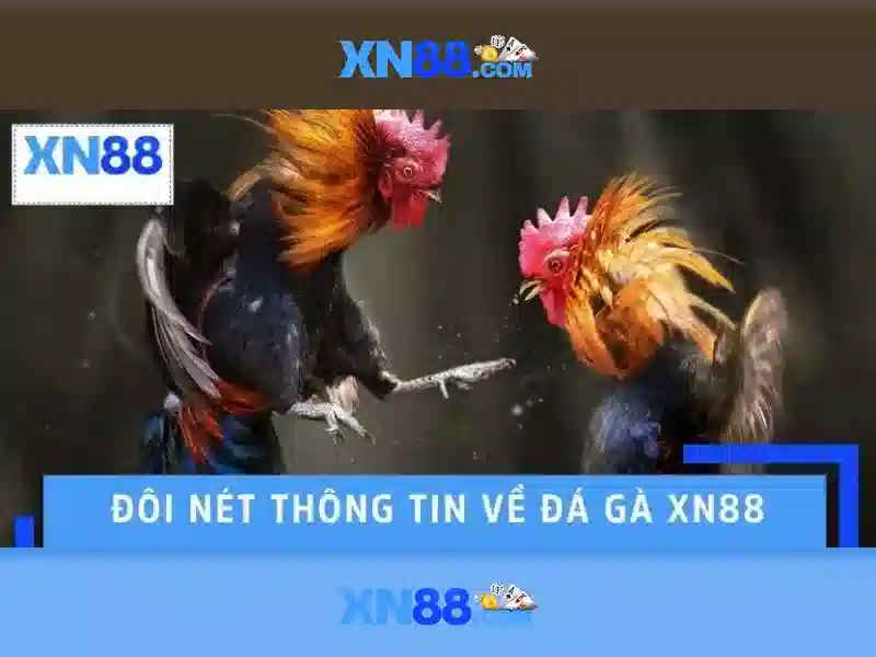 xn88 con – Đổi mới thương hiệu và trải nghiệm xn88 store Go88