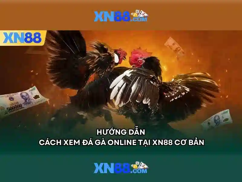 Tìm hiểu xn88: Nền tảng đa năng và tiềm năng Go88