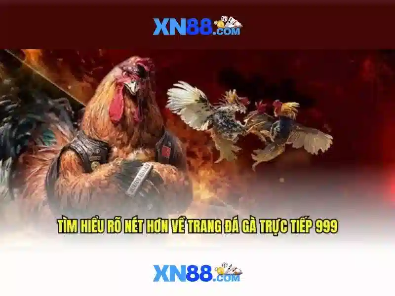 Cách thức hoạt động của xn88