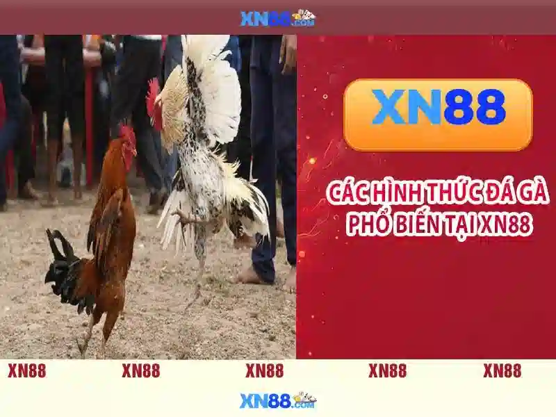 xn88 win – Đột phá trải nghiệm giải trí và khuyến mãi Go88