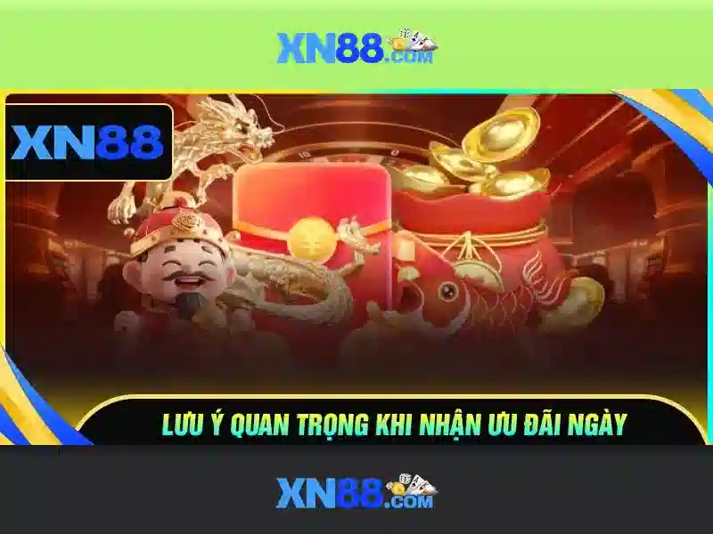 Nền tảng và trải nghiệm người dùng