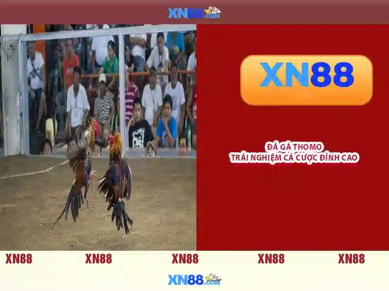 XN88: Nền tảng cá cược trực tuyến và trải nghiệm người dùng Go88