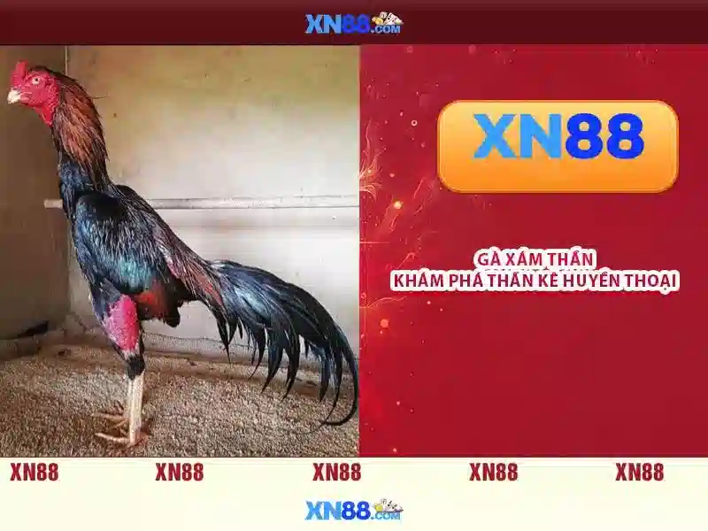 Kết luận Kết luận