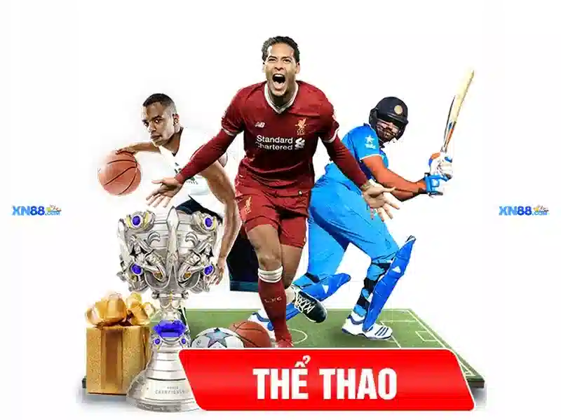 Trải nghiệm người dùng và phản hồi cộng đồng Trải nghiệm người dùng và phản hồi cộng đồng