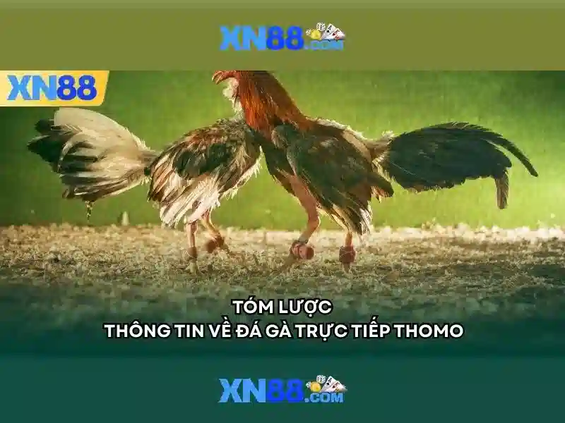 Đăng Nhập