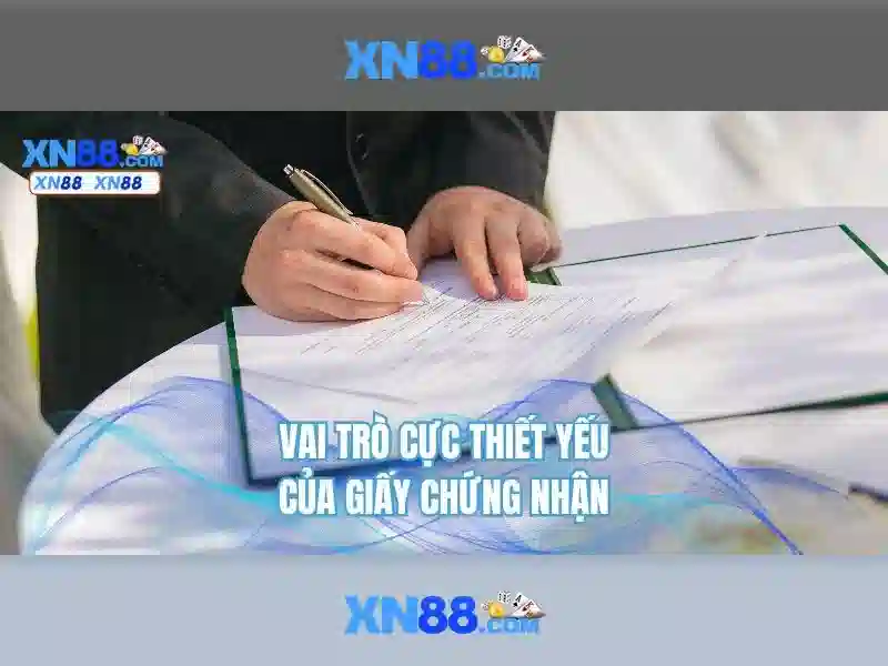 Hỗ trợ khách hàng và kết luận