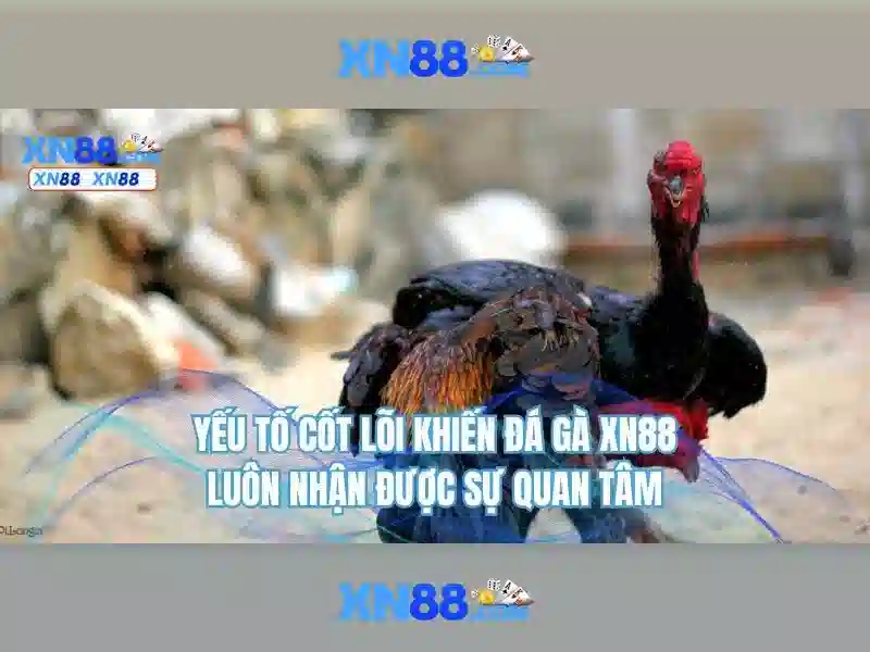Tìm hiểu xn88: Nền tảng đa năng và tiềm năng 1 Đăng Nhập