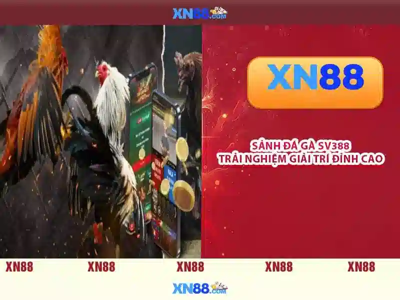 xn88 ampleur.jp***.com – Tổng quan thương hiệu và giải pháp số 1 Đăng Nhập