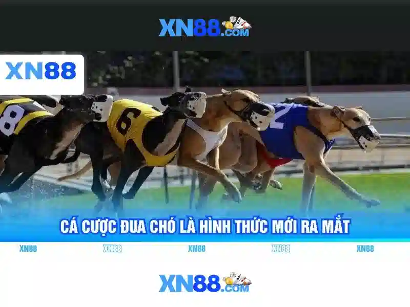Đăng Nhập