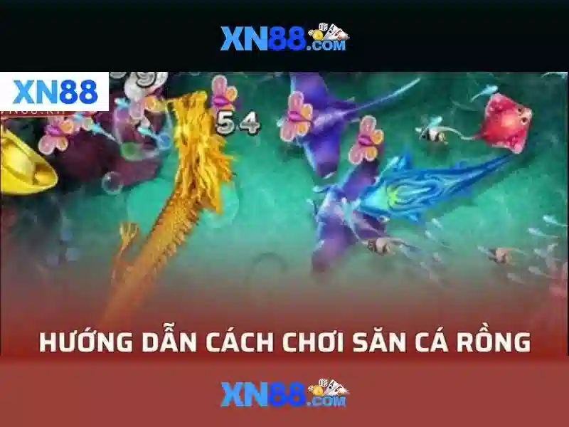 Phiên bản di động và trải nghiệm người dùng