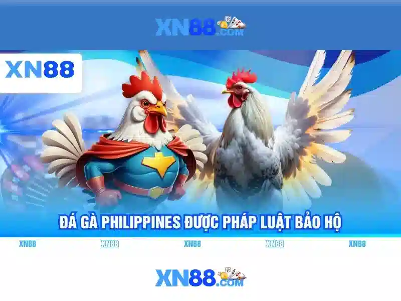 Cách vận hành nền tảng
