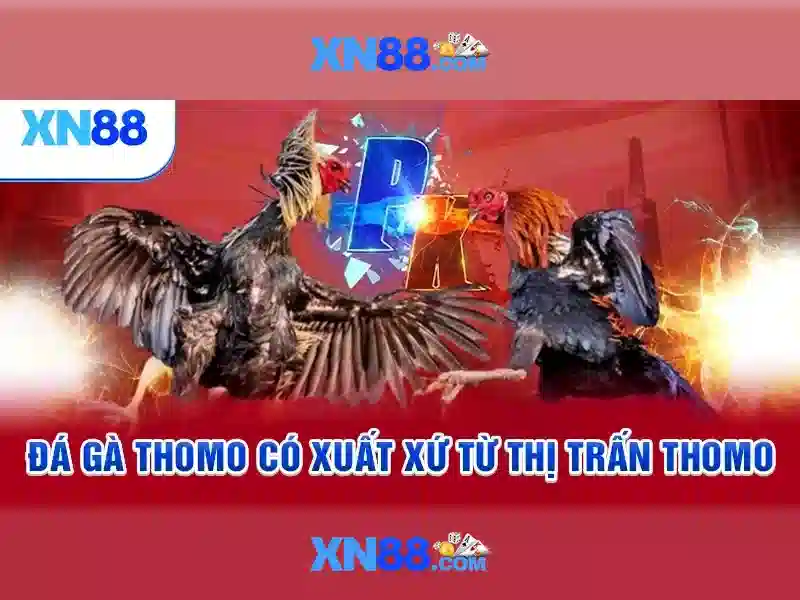 xn88: Nền tảng trực tuyến và các dịch vụ liên quan Go88
