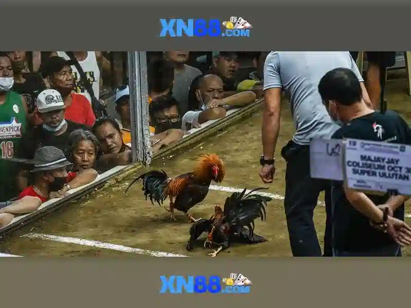 Đăng Nhập