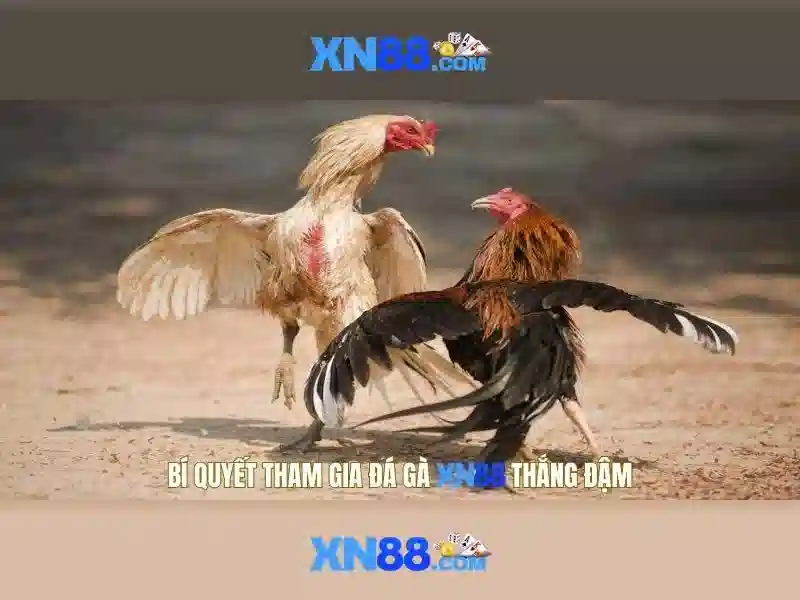 xn88: Nền tảng trò chơi trực tuyến và những đặc điểm nổi bật 1 Đăng Nhập