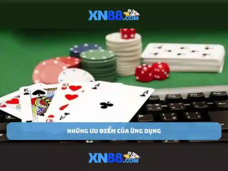 Nền tảng và trải nghiệm người dùng