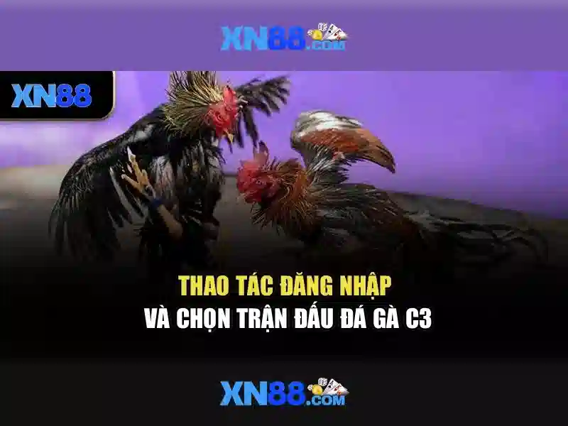 XN88 là gì? Tổng quan về nền tảng cược trực tuyến 1 Đăng Nhập