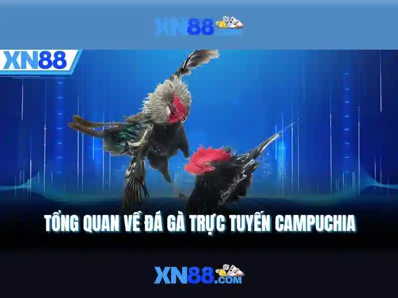 xn88 – Nền tảng trực tuyến và trải nghiệm người dùng Go88
