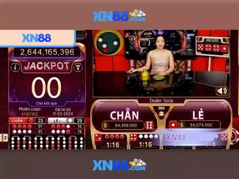 'Dự án xn88 và cộng đồng'