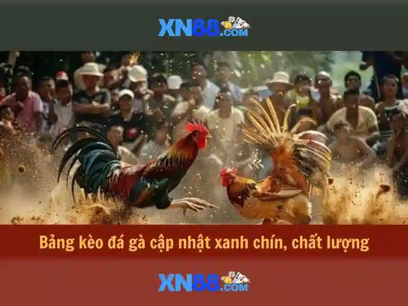 Cách tham gia an toàn\n<h3>Cách tham gia an toàn</h3>\n<p>Để tham gia xn88, người dùng cần đăng ký tài khoản, xác thực danh tính và nắm vững các quy định về bảo mật, thanh toán và quản lý rủi ro.</p>\n<h2>Tính năng nổi bật</h2>\n<p>Nền tảng này nổi bật với đồ họa sống động, nhiều trò chơi từ trò chơi casino tới slot và các lựa chọn thanh toán linh hoạt.</p>\n<h3>Trải nghiệm người dùng</h3>\n<p>Giao diện người dùng được tối ưu cho thiết bị di động và máy tính để bàn, giúp người chơi dễ dàng tiếp cận và tận hưởng trải nghiệm liền mạch.</p> Cách tham gia an toàn\n<h3>Cách tham gia an toàn</h3>\n<p>Để tham gia xn88, người dùng cần đăng ký tài khoản, xác thực danh tính và nắm vững các quy định về bảo mật, thanh toán và quản lý rủi ro.</p>\n<h2>Tính năng nổi bật</h2>\n<p>Nền tảng này nổi bật với đồ họa sống động, nhiều trò chơi từ trò chơi casino tới slot và các lựa chọn thanh toán linh hoạt.</p>\n<h3>Trải nghiệm người dùng</h3>\n<p>Giao diện người dùng được tối ưu cho thiết bị di động và máy tính để bàn, giúp người chơi dễ dàng tiếp cận và tận hưởng trải nghiệm liền mạch.</p>