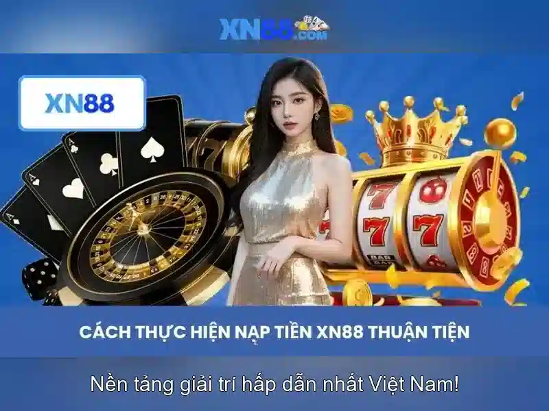 Nền tảng và trải nghiệm người dùng