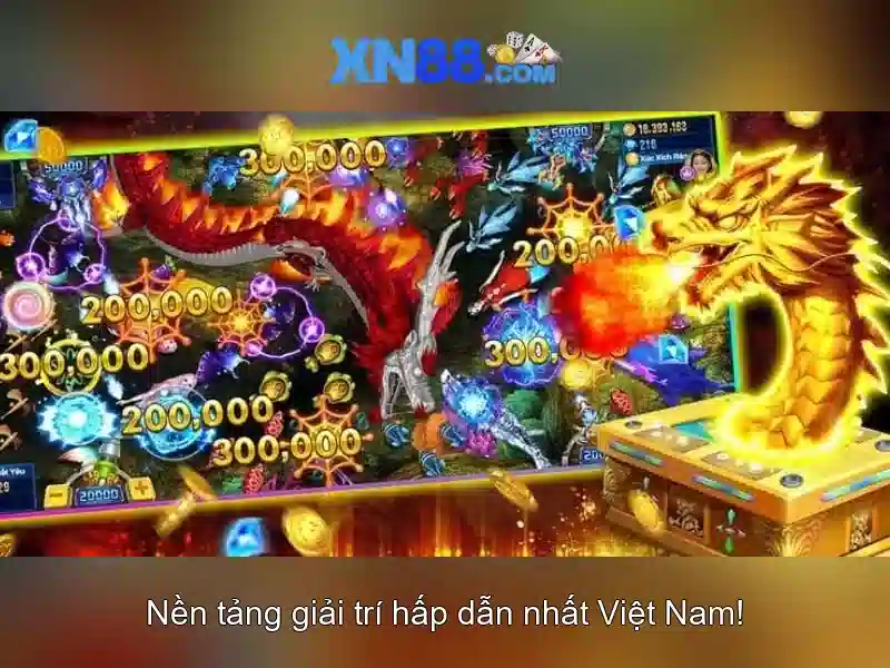 Trải nghiệm người dùng