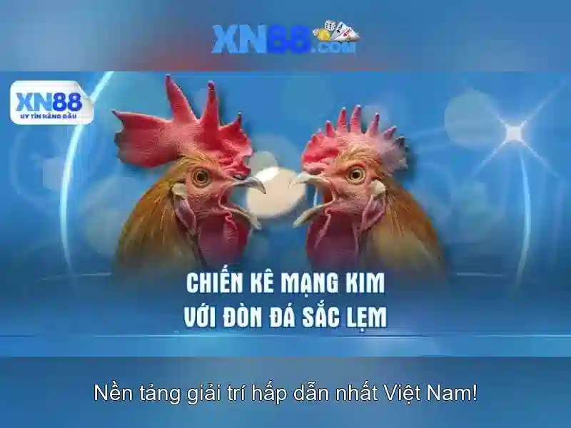 xn88: một nền tảng chơi trực tuyến đáng tin cậy 1 Đăng Nhập