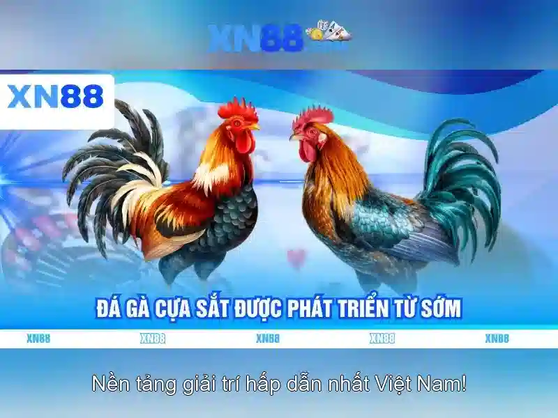 Xn88: Tổng quan về nền tảng giải trí trực tuyến 1 Đăng Nhập