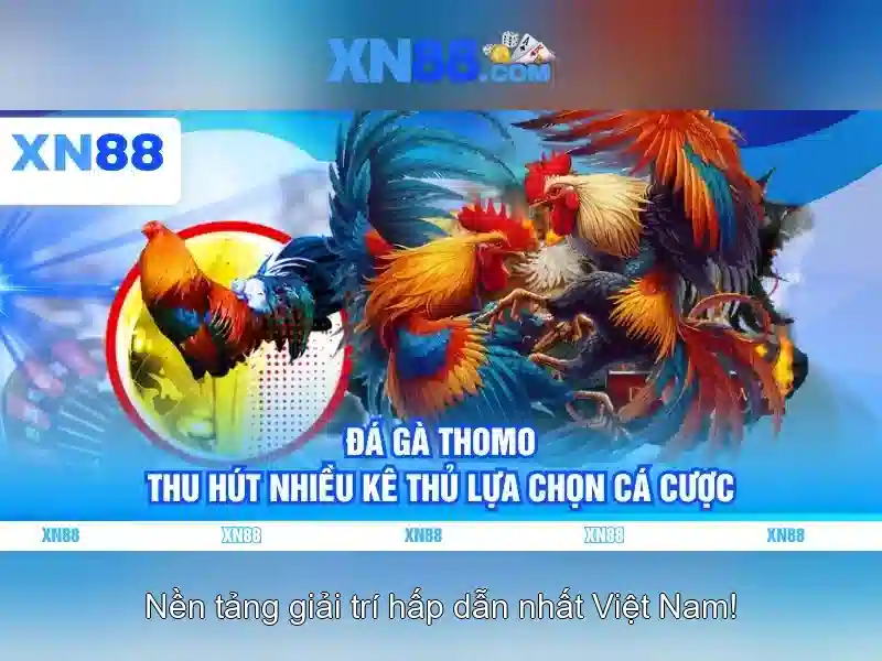 XN88: Nền tảng chơi game trực tuyến nổi bật 1 Đăng Nhập