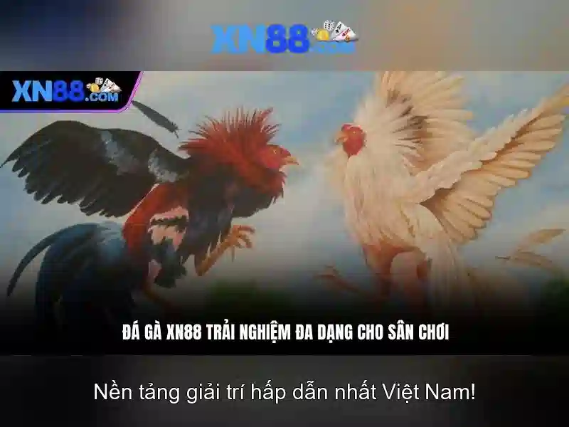 xn88: Đánh giá và trải nghiệm nền tảng trò chơi trực tuyến hàng đầu Go88
