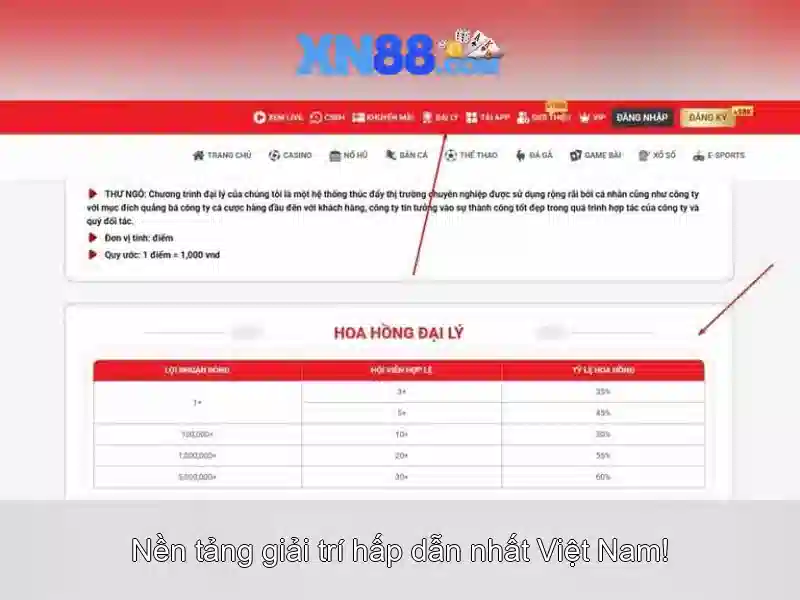 Các sản phẩm và dịch vụ chính