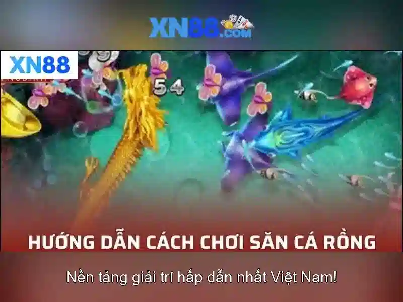 xn88 - Tổng quan về nền tảng cá cược trực tuyến Go88
