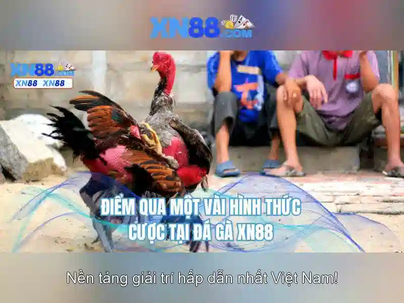 xn88 - Đánh giá và tổng quan 1 Đăng Nhập