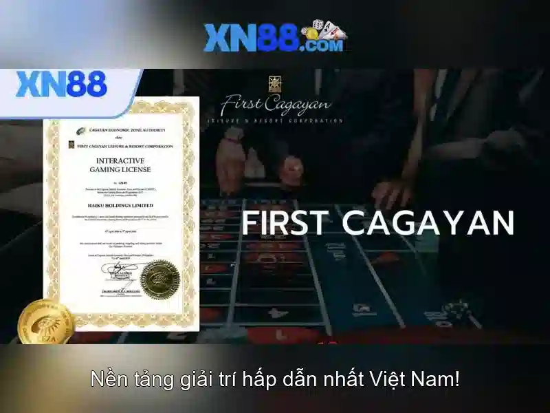 xn88 là gì? xn88 là gì?