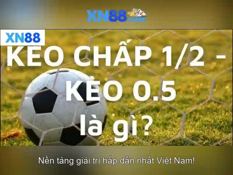 Giới thiệu về xn88