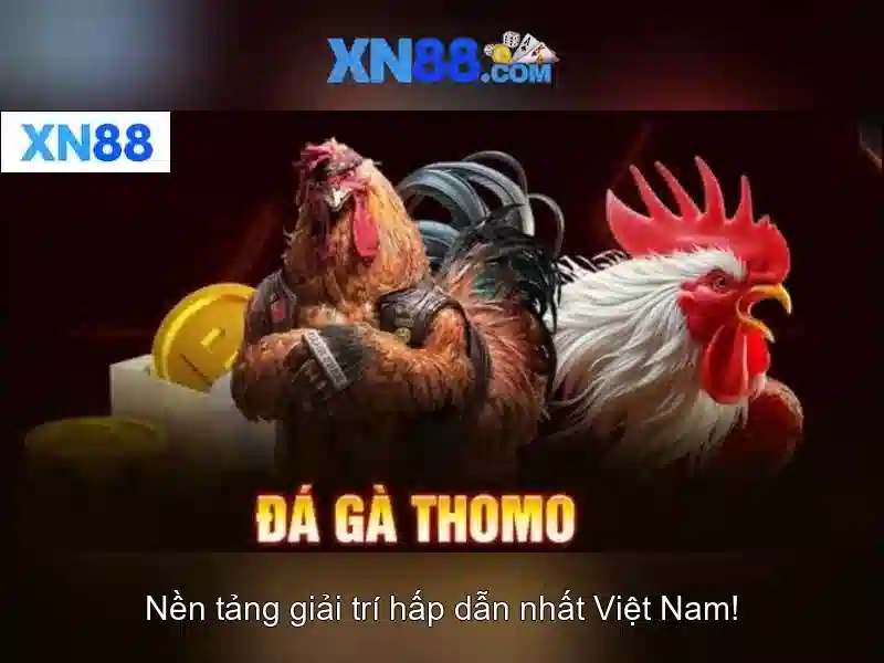 An toàn và bảo mật\n<h>Hướng dẫn bắt đầu</h>\n<p>Để tham gia, người chơi cần đăng ký tài khoản, xác minh danh tính và nạp tiền lần đầu. Sau khi đăng nhập, bạn có thể chọn trò chơi ưa thích, tham gia trận đấu trực tiếp và theo dõi lịch trình sự kiện.</p>\n<h>Kết luận</h>\n<p>xn88 mang đến trải nghiệm giải trí đa dạng với nhiều lựa chọn trò chơi, công cụ quản lý tài khoản và đội ngũ hỗ trợ người dùng. Hãy cân nhắc ràng buộc pháp lý và chơi có trách nhiệm.</p> An toàn và bảo mật\n<h>Hướng dẫn bắt đầu</h>\n<p>Để tham gia, người chơi cần đăng ký tài khoản, xác minh danh tính và nạp tiền lần đầu. Sau khi đăng nhập, bạn có thể chọn trò chơi ưa thích, tham gia trận đấu trực tiếp và theo dõi lịch trình sự kiện.</p>\n<h>Kết luận</h>\n<p>xn88 mang đến trải nghiệm giải trí đa dạng với nhiều lựa chọn trò chơi, công cụ quản lý tài khoản và đội ngũ hỗ trợ người dùng. Hãy cân nhắc ràng buộc pháp lý và chơi có trách nhiệm.</p>