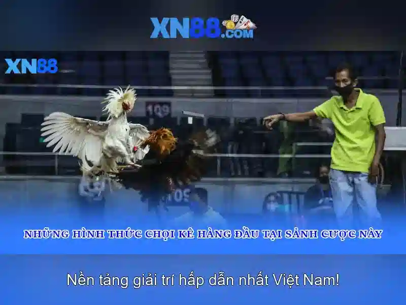 Các trò chơi và cược