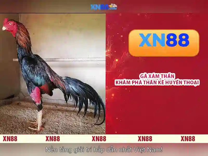 Giới thiệu xn88: Nền tảng cá cược và trò chơi trực tuyến Go88