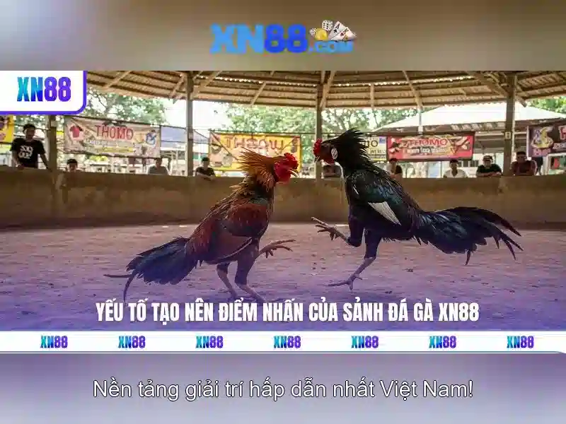 Trải nghiệm người dùng<h>Cách tham gia và chơi an toàn</h><p>Người chơi nên thiết lập mật khẩu mạnh, quản lý chi tiêu và biết giới hạn bản thân. XN88 khuyến khích người chơi dùng chế độ tự giới hạn và tham gia các chương trình giáo dục an toàn cho trò chơi.</p> Trải nghiệm người dùng<h>Cách tham gia và chơi an toàn</h><p>Người chơi nên thiết lập mật khẩu mạnh, quản lý chi tiêu và biết giới hạn bản thân. XN88 khuyến khích người chơi dùng chế độ tự giới hạn và tham gia các chương trình giáo dục an toàn cho trò chơi.</p>