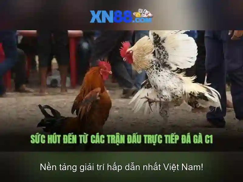 xn88: Nền tảng cá cược trực tuyến và trải nghiệm giải trí 1 Đăng Nhập