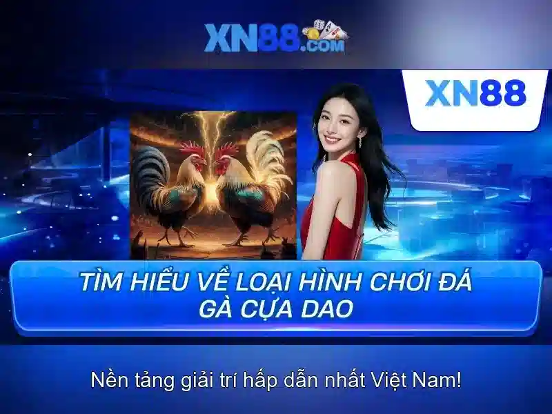 Chính sách thanh toán và khuyến mãi