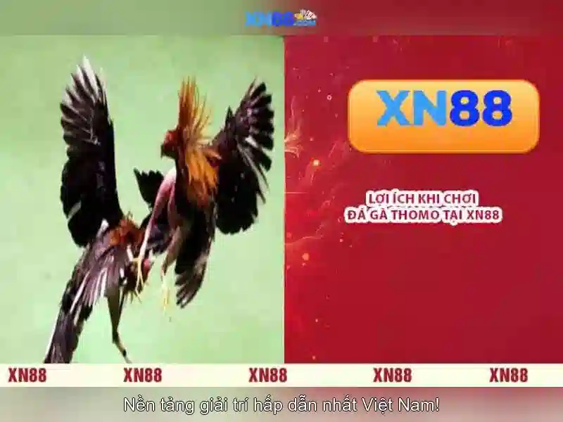 Đăng Nhập