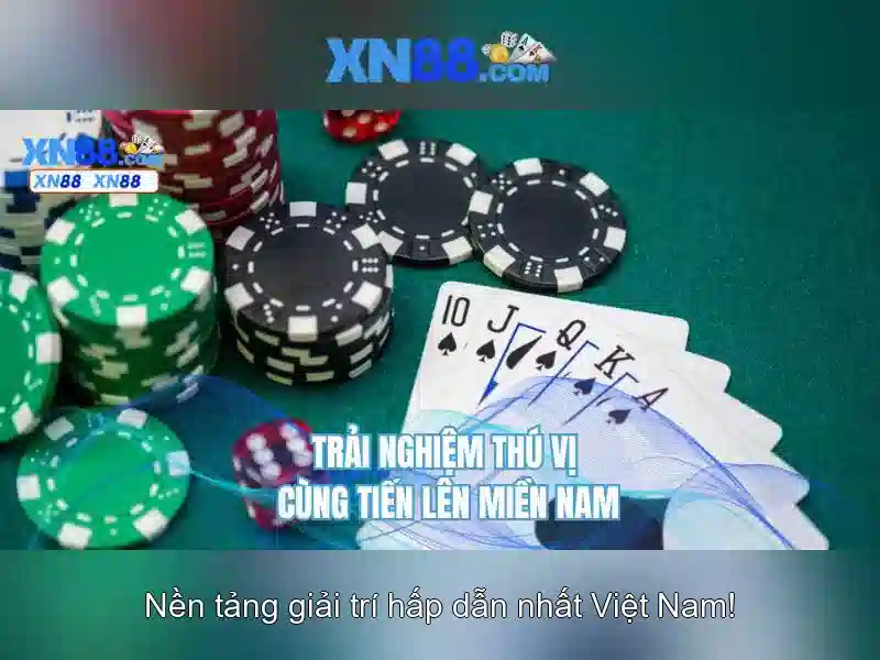 Trải nghiệm người dùng và hỗ trợ khách hàng
