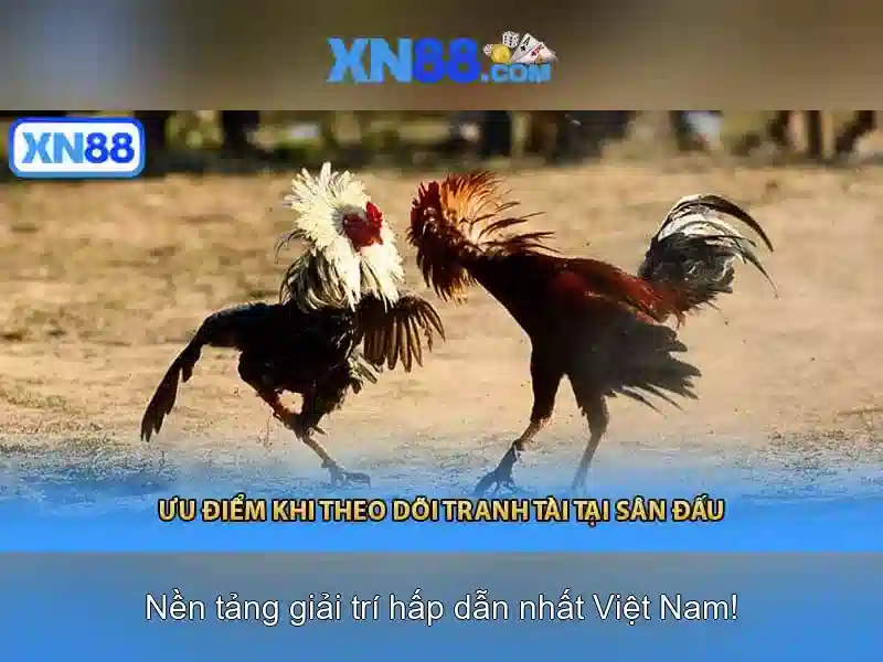 Đăng Nhập