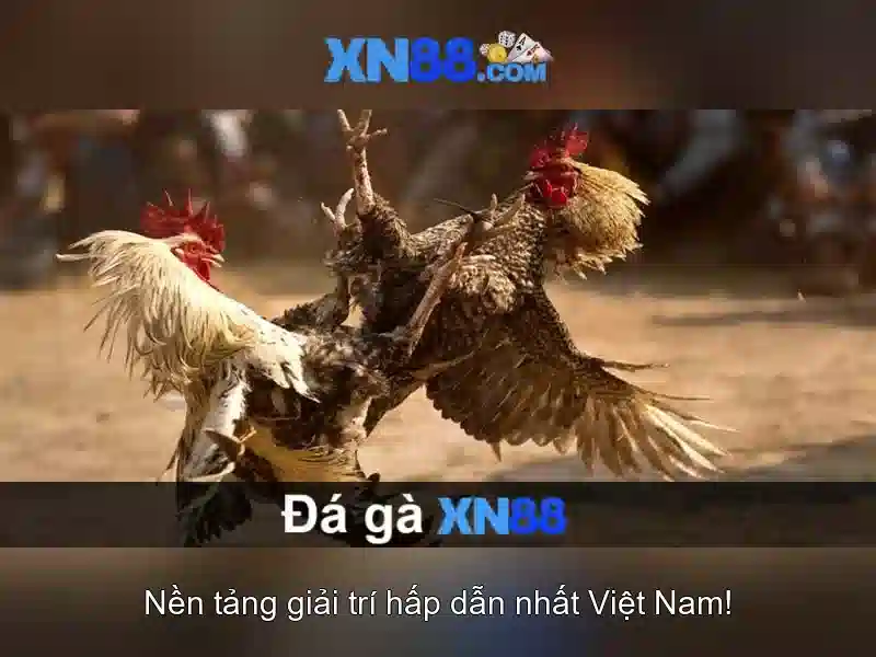 Các tính năng nổi bật