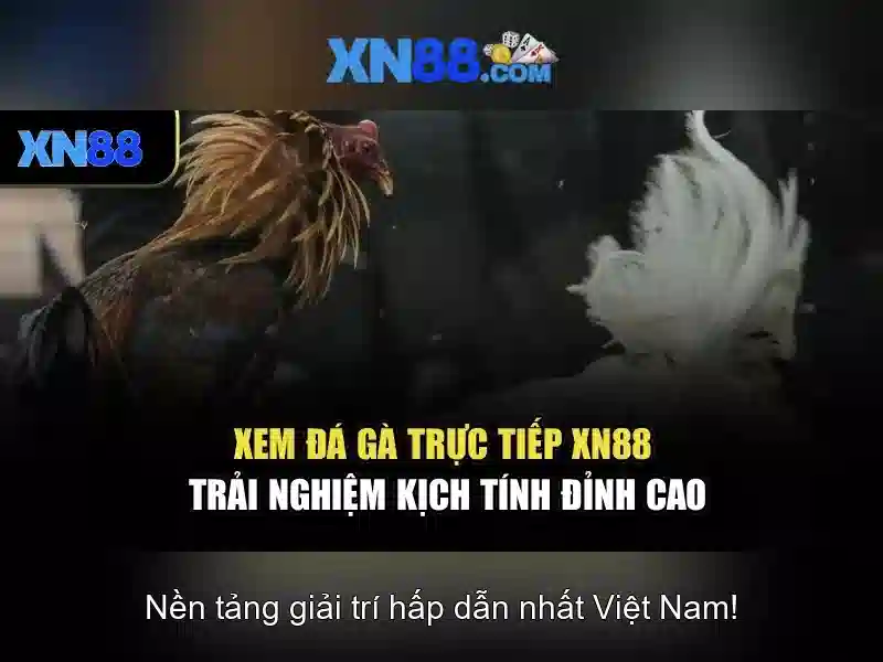 Đăng Nhập