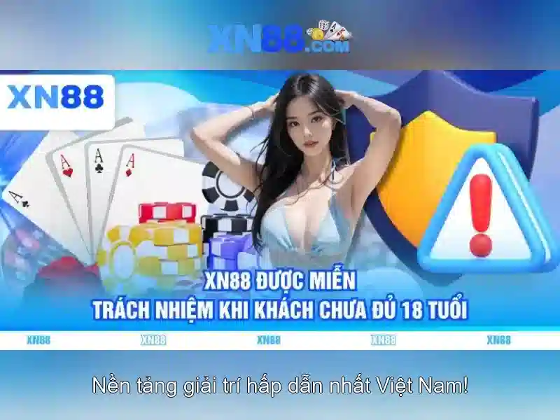 Khuyến nghị cho người mới Khuyến nghị cho người mới