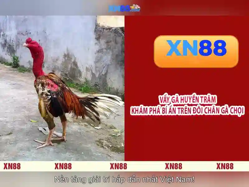 xn88: Tổng quan về nền tảng và ứng dụng Go88