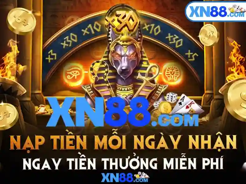 Trải nghiệm người dùng và đánh giá