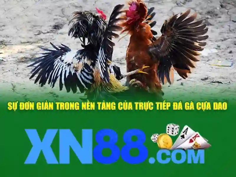 Phát triển và tầm nhìn tương lai